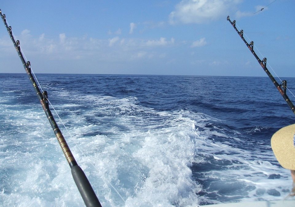 Fishing and Spare Fishing License